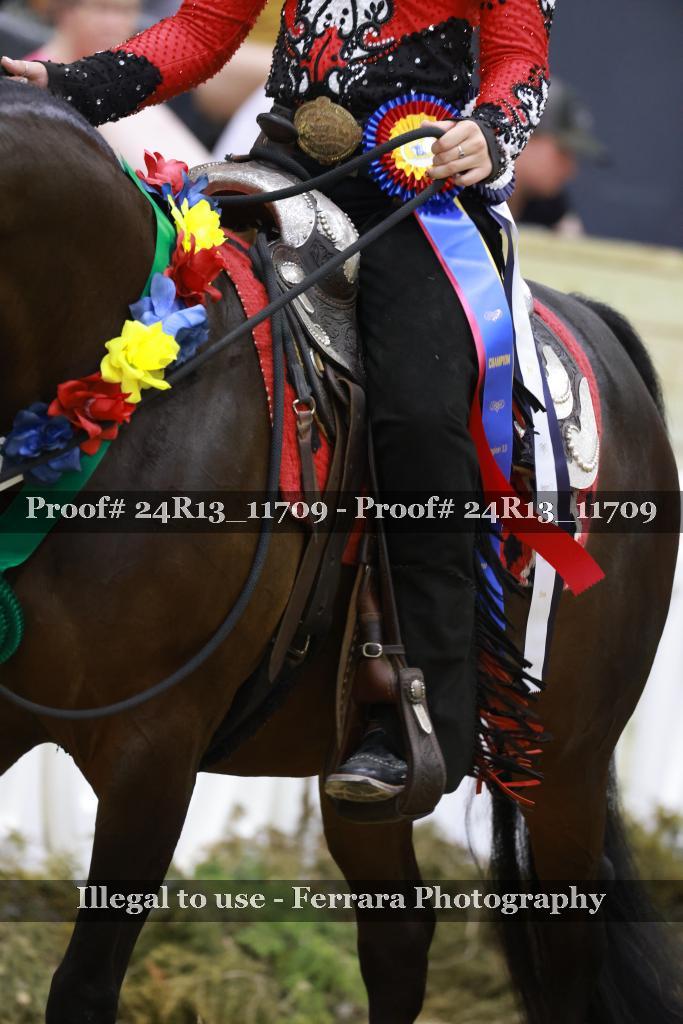 Proof 24R13_11709