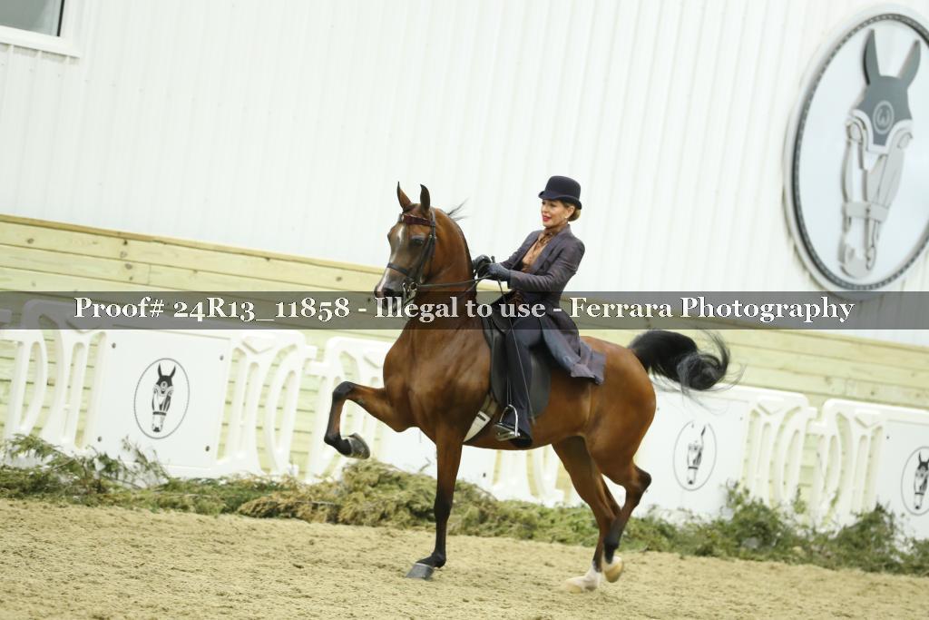 Proof 24R13_11858