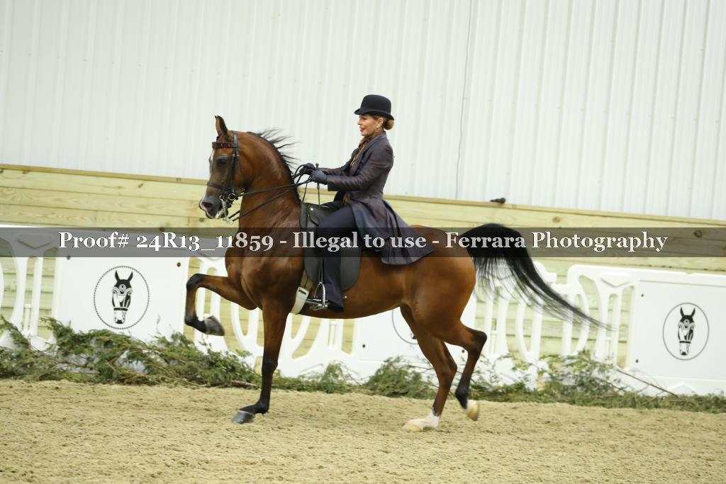 Proof 24R13_11859