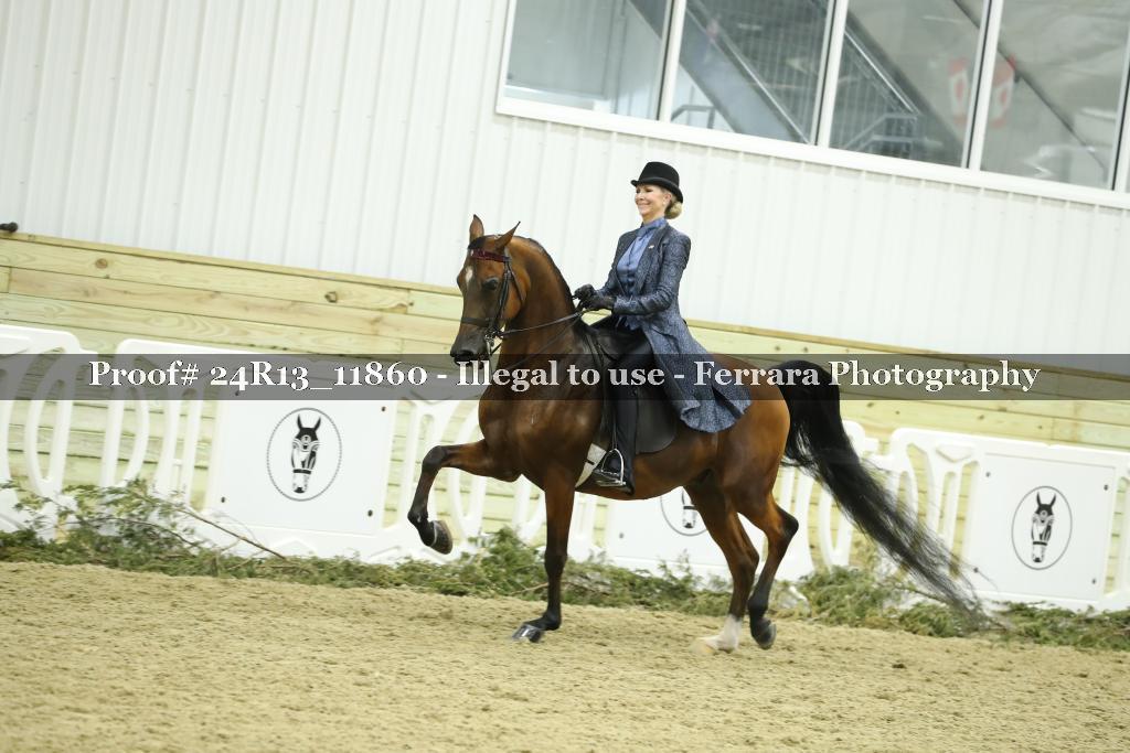 Proof 24R13_11860
