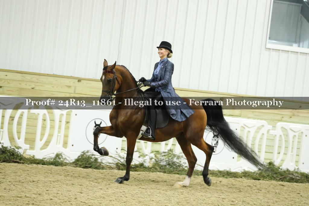Proof 24R13_11861