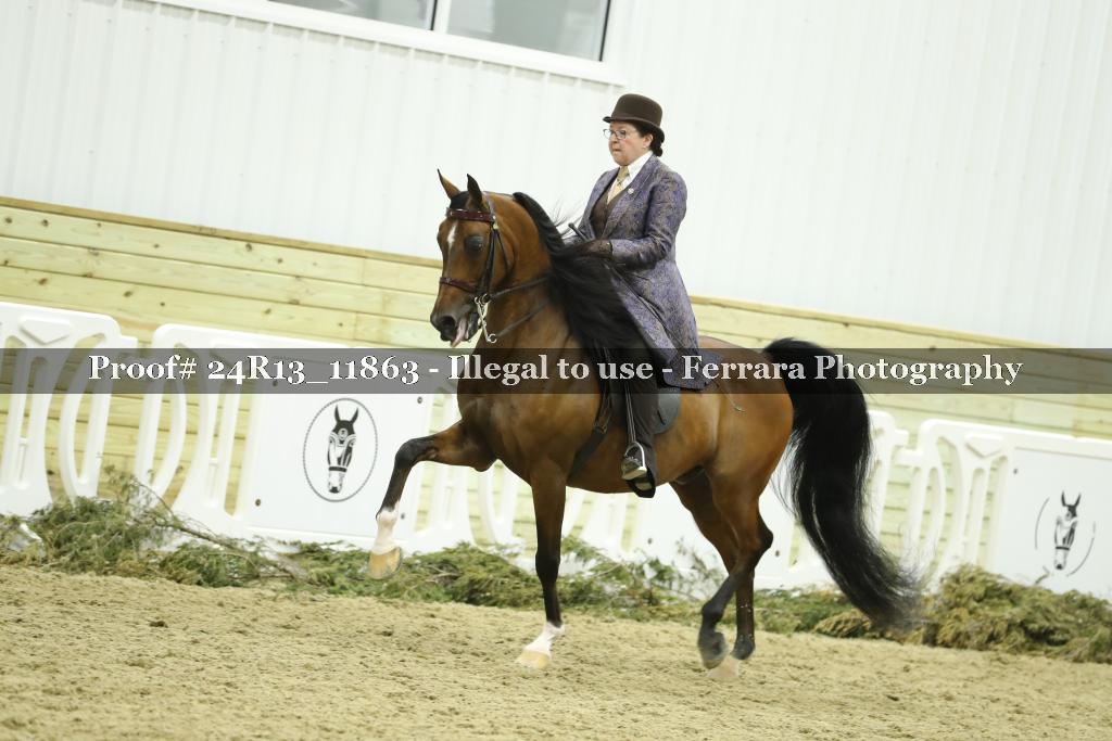Proof 24R13_11863