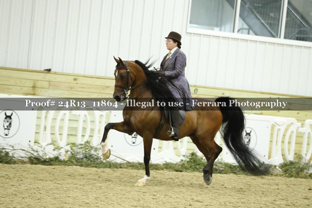 Proof 24R13_11864