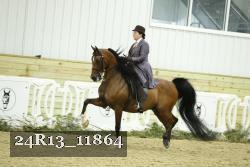 24R13_11864 proof
