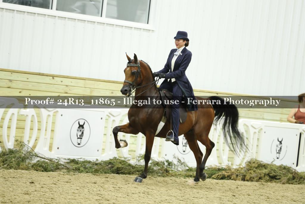 Proof 24R13_11865