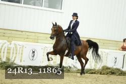 24R13_11865 proof