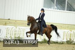 24R13_11866 proof