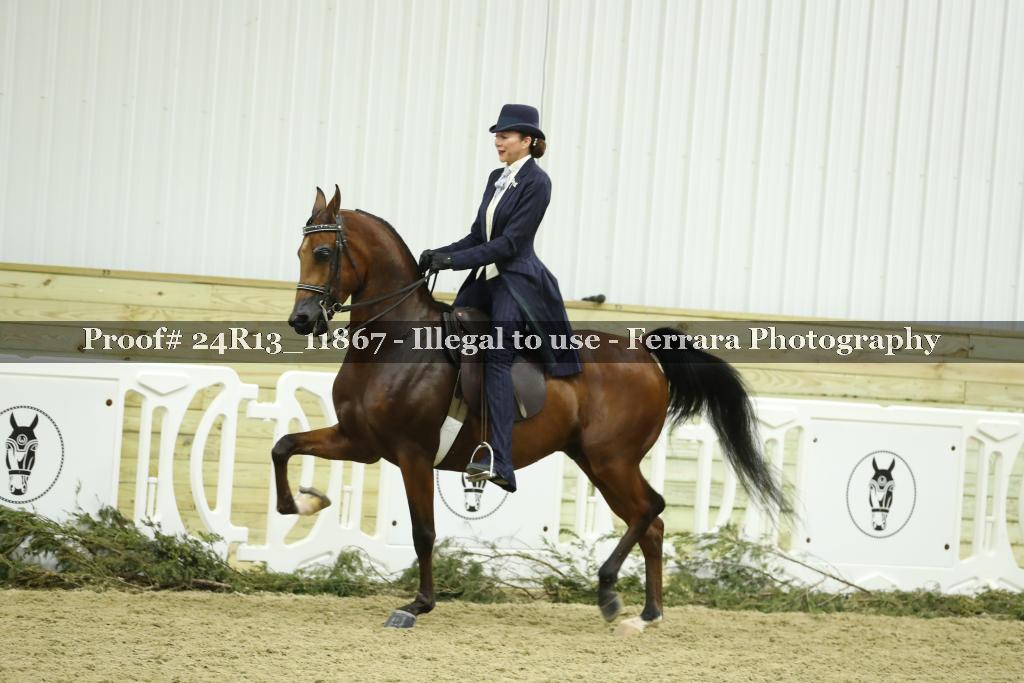 Proof 24R13_11867