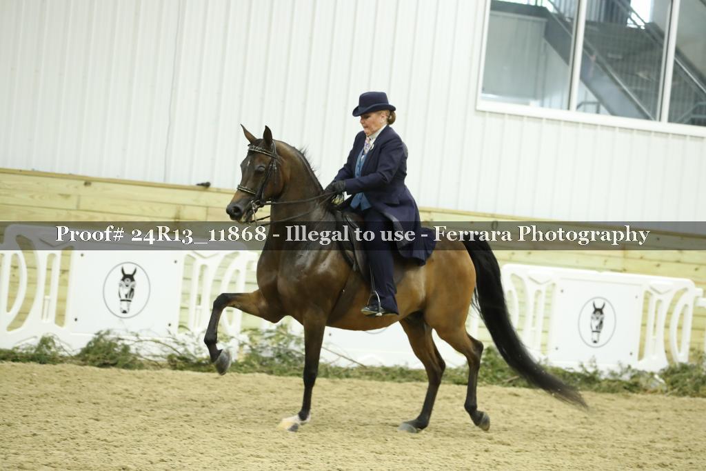 Proof 24R13_11868