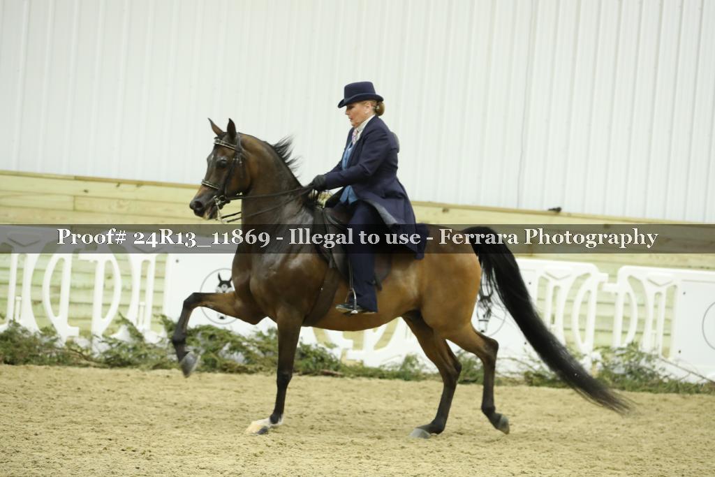 Proof 24R13_11869
