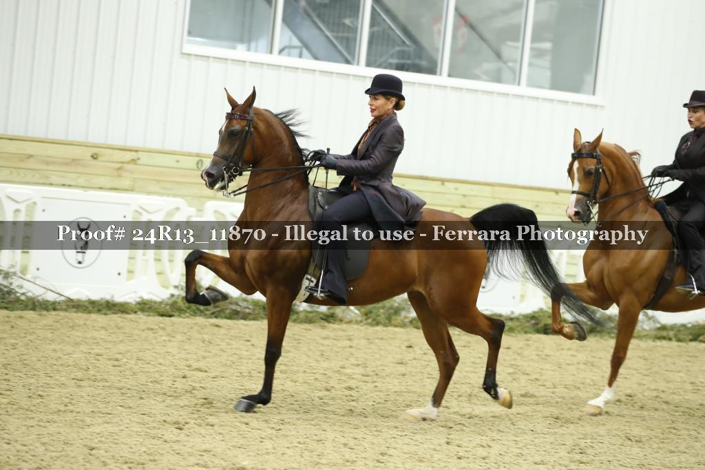 Proof 24R13_11870