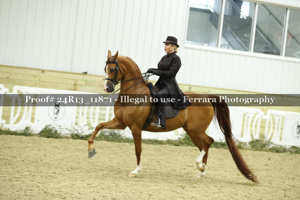 Proof 24R13_11871