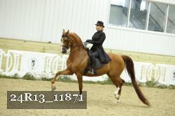 24R13_11871 proof