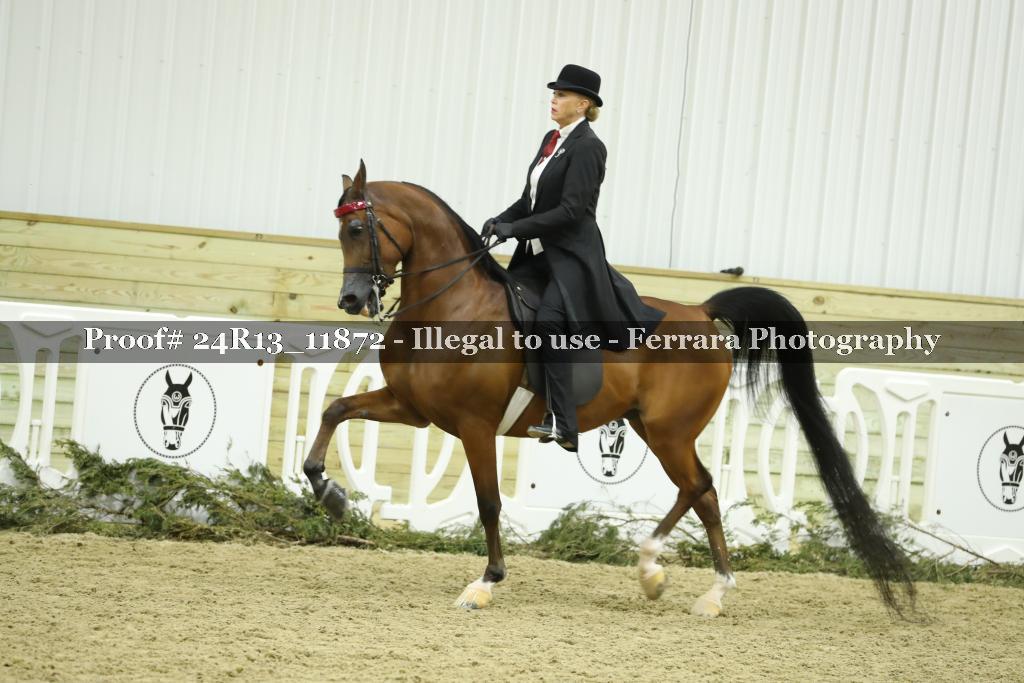 Proof 24R13_11872