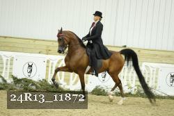 24R13_11872 proof