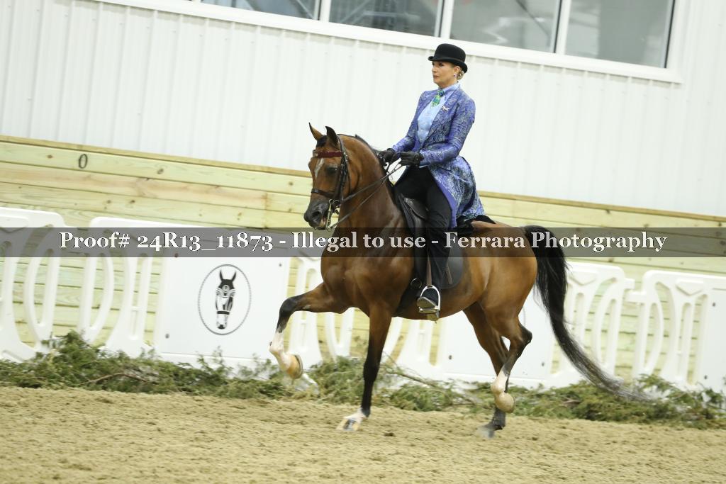 Proof 24R13_11873