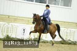 24R13_11873 proof