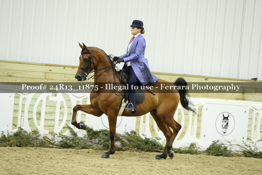 Proof 24R13_11875
