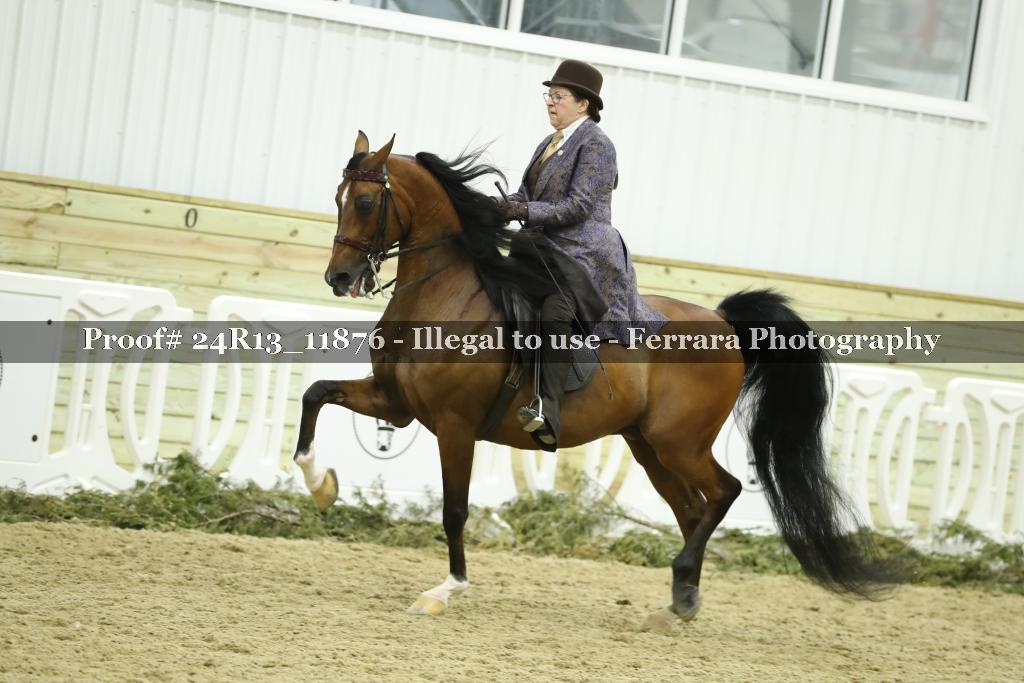 Proof 24R13_11876