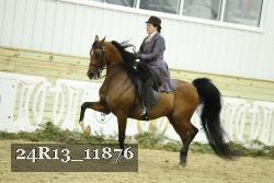 24R13_11876 proof
