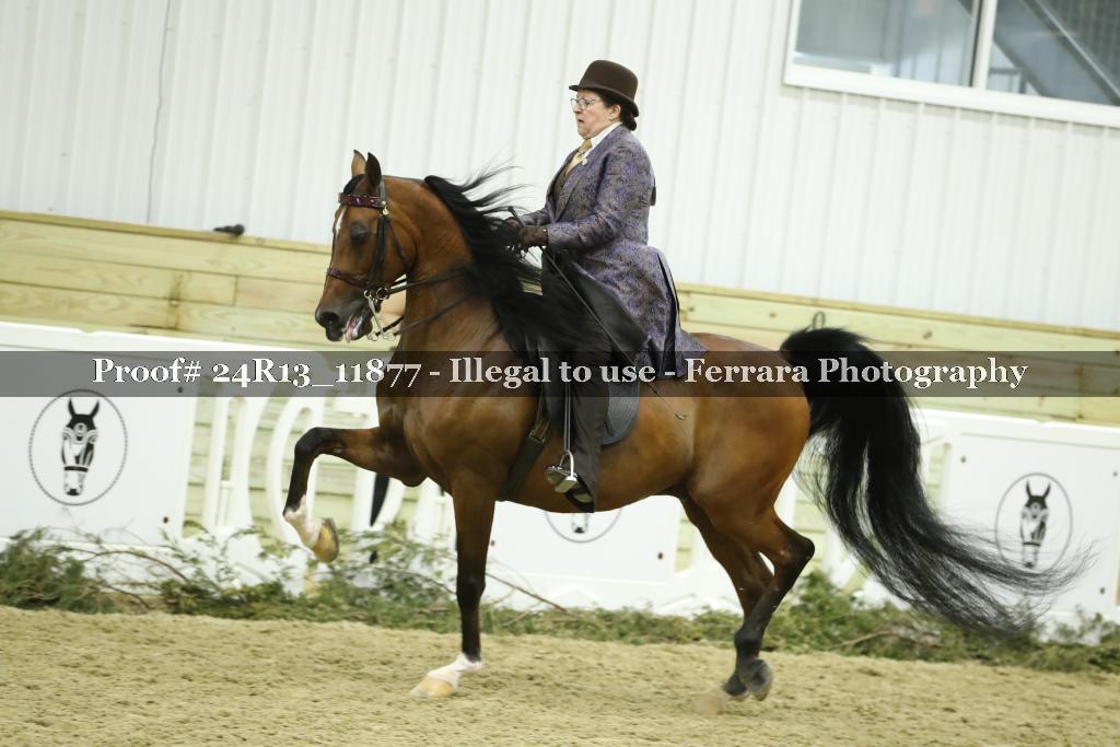 Proof 24R13_11877