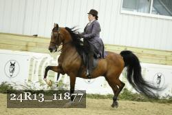 24R13_11877 proof