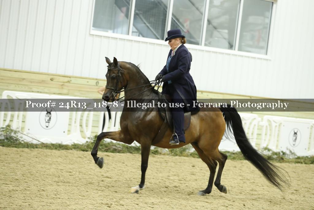 Proof 24R13_11878