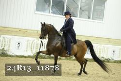 24R13_11878 proof
