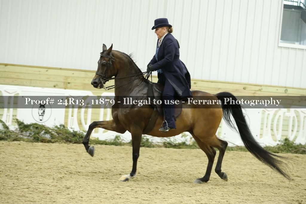Proof 24R13_11879