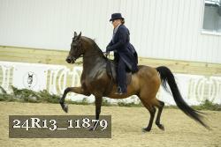 24R13_11879 proof