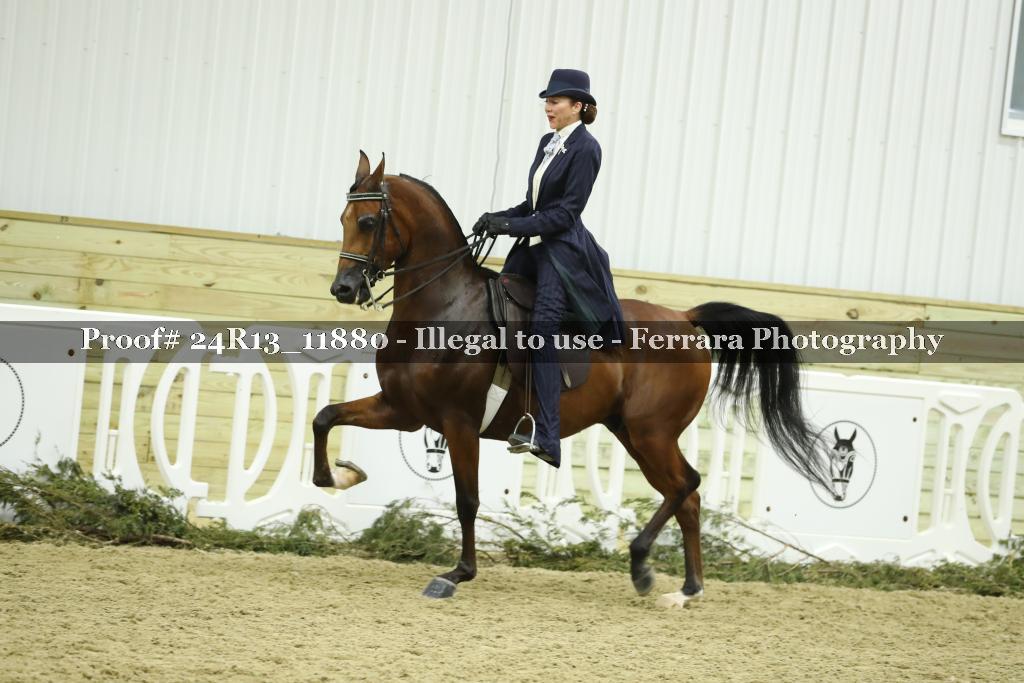 Proof 24R13_11880