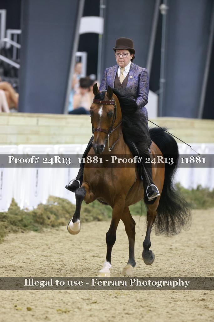 Proof 24R13_11881
