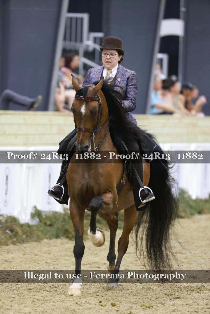 Proof 24R13_11882