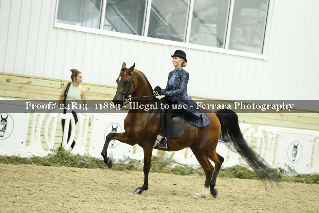 Proof 24R13_11883
