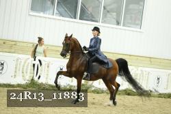 24R13_11883 proof