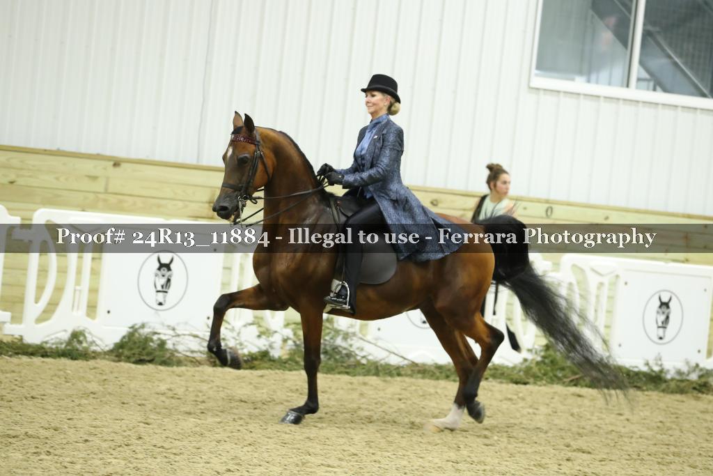 Proof 24R13_11884