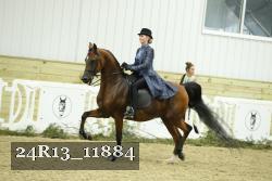 24R13_11884 proof