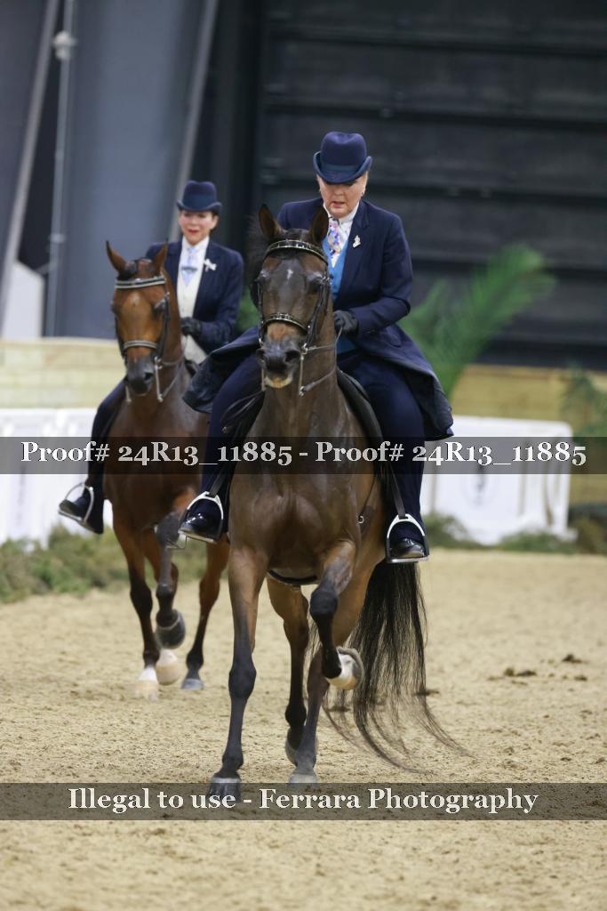 Proof 24R13_11885