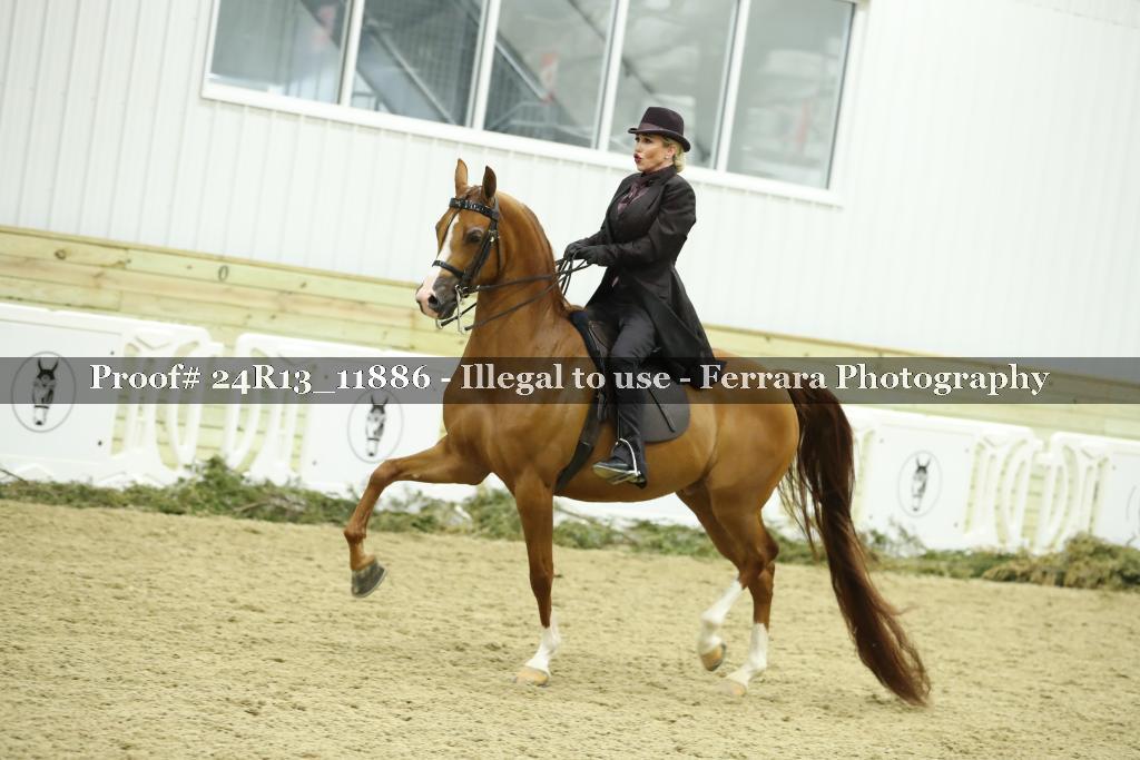 Proof 24R13_11886