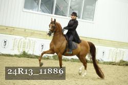 24R13_11886 proof