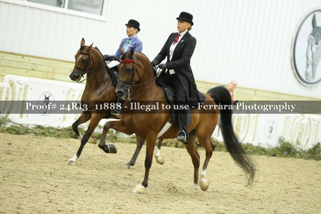 Proof 24R13_11888