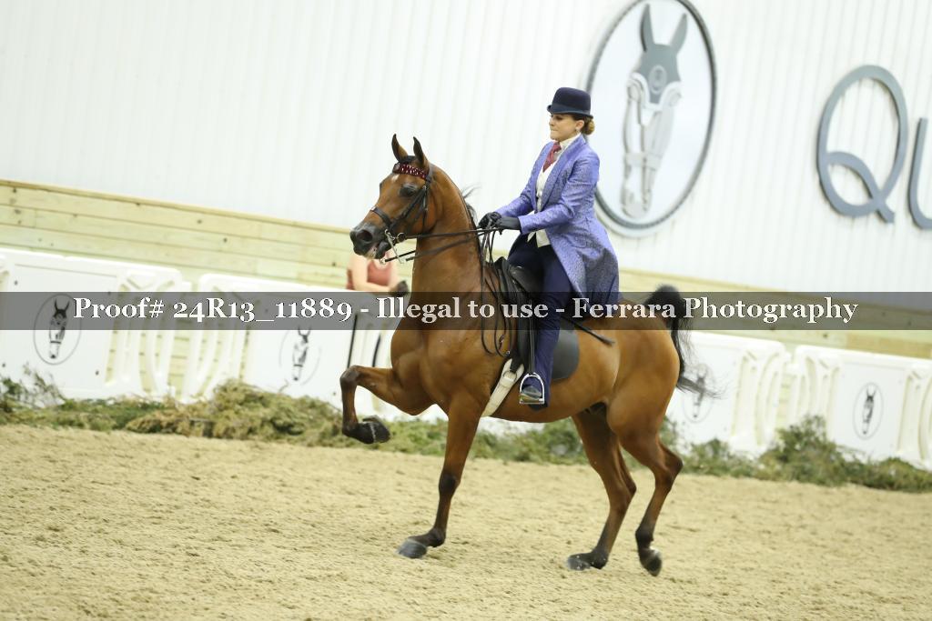 Proof 24R13_11889