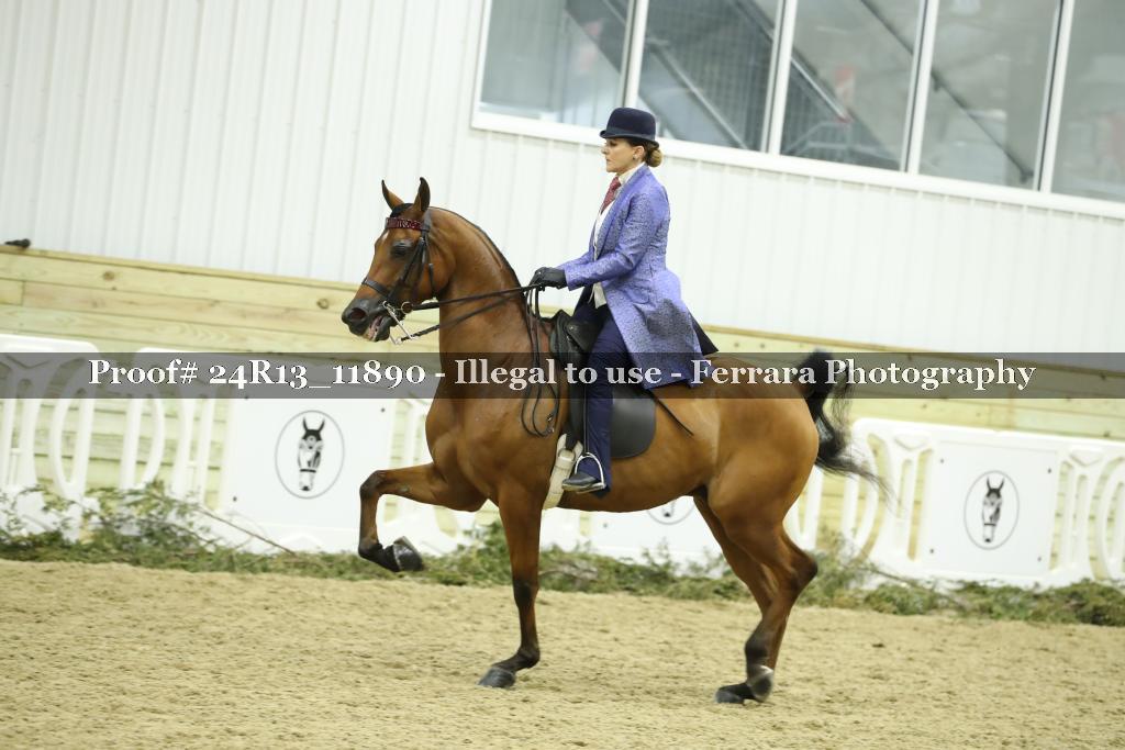 Proof 24R13_11890
