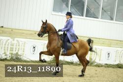 24R13_11890 proof