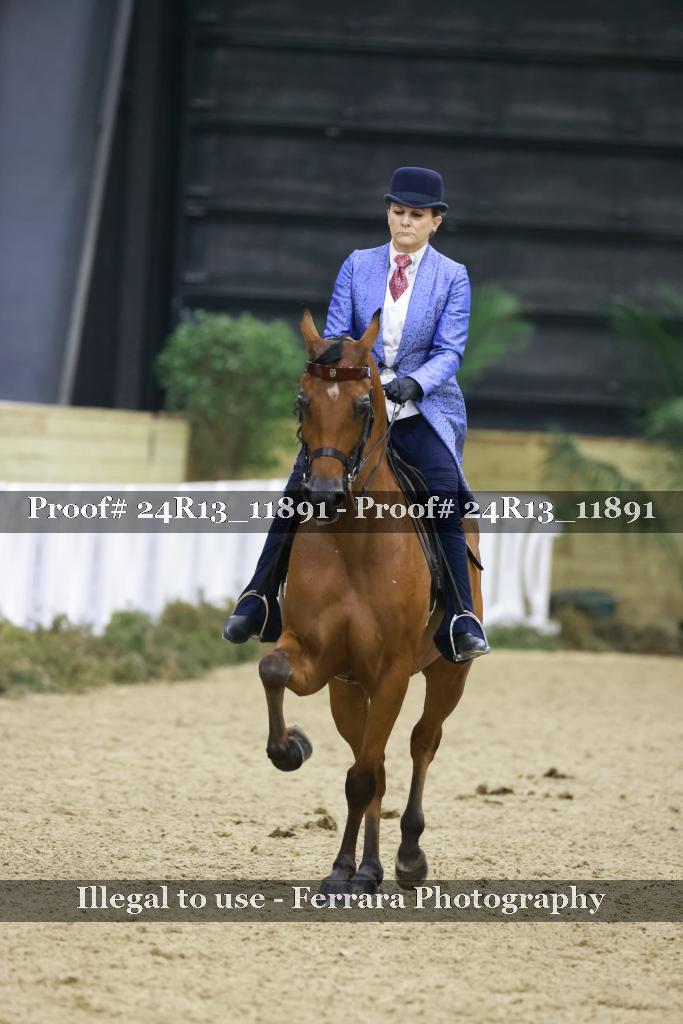 Proof 24R13_11891
