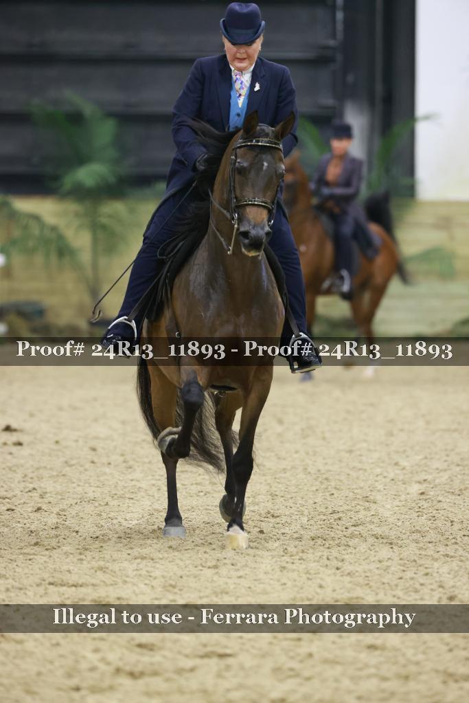 Proof 24R13_11893
