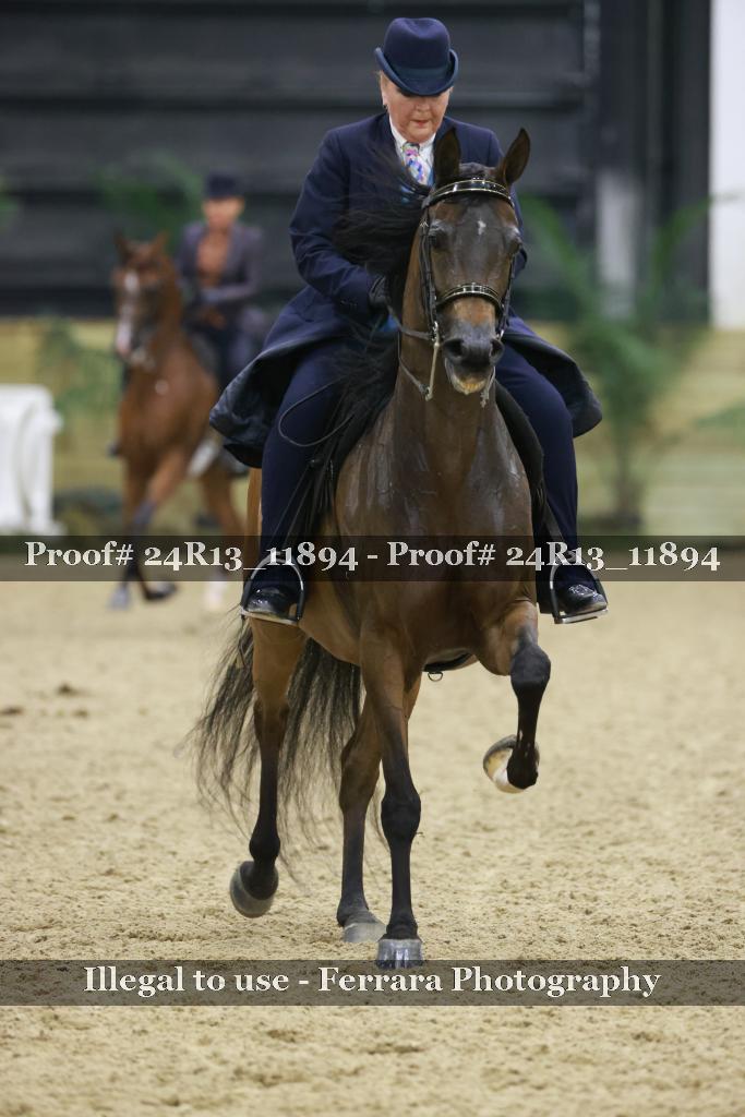 Proof 24R13_11894