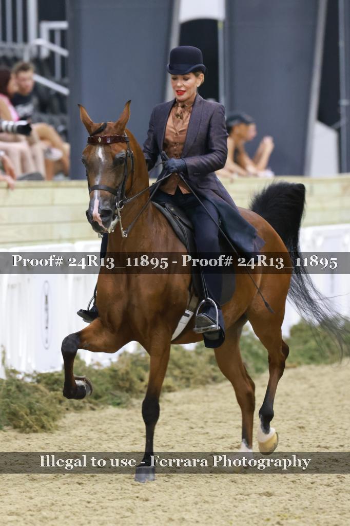 Proof 24R13_11895