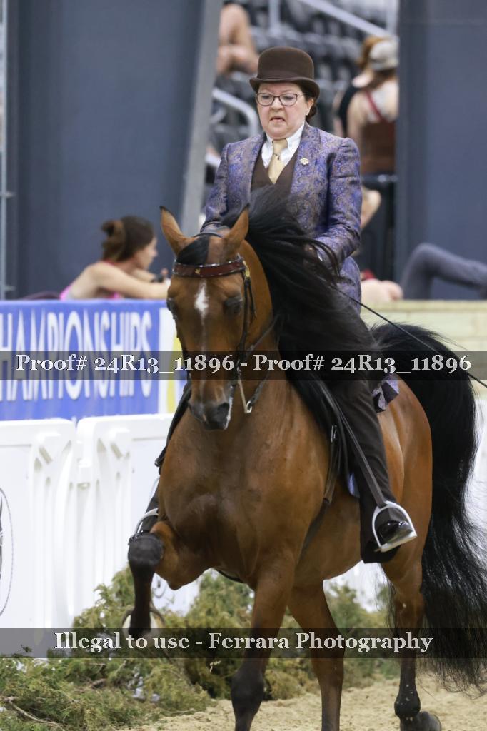 Proof 24R13_11896