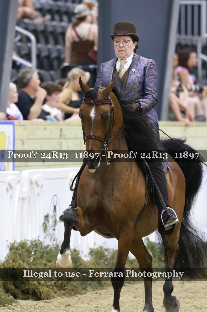 Proof 24R13_11897